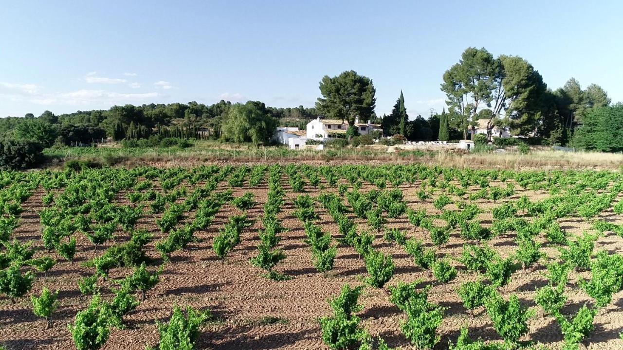 Los Cojos Vilasira מראה חיצוני תמונה